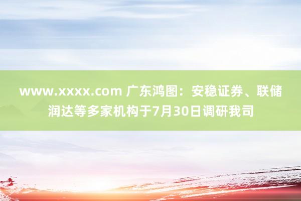 www.xxxx.com 广东鸿图：安稳证券、联储润达等多家机构于7月30日调研我司