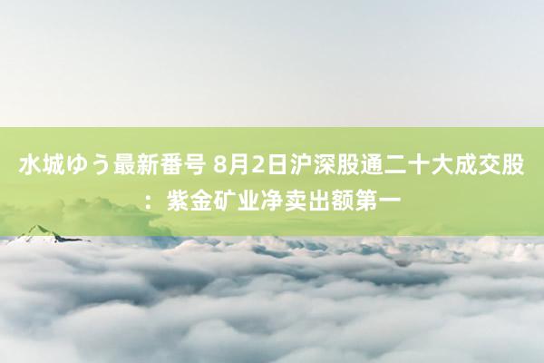 水城ゆう最新番号 8月2日沪深股通二十大成交股：紫金矿业净卖出额第一