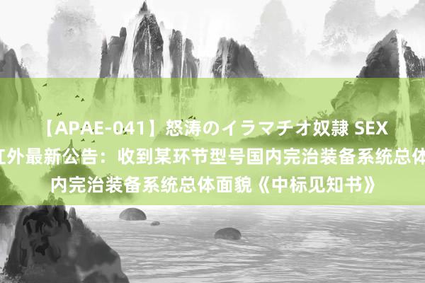 【APAE-041】怒涛のイラマチオ奴隷 SEXコレクション 高德红外最新公告：收到某环节型号国内完治装备系统总体面貌《中标见知书》