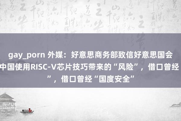 gay_porn 外媒：好意思商务部致信好意思国会，称正审查中国使用RISC-V芯片技巧带来的“风险”，借口曾经“国度安全”