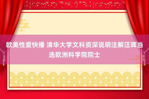 欧美性爱快播 清华大学文科资深说明注解汪晖当选欧洲科学院院士