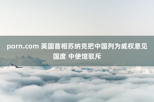 porn.com 英国首相苏纳克把中国列为威权意见国度 中使馆驳斥