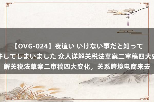 【OVG-024】夜這い いけない事だと知っていたけど生中出しまで許してしまいました 众人详解关税法草案二审稿四大变化，关系跨境电商来去