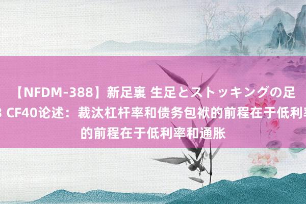【NFDM-388】新足裏 生足とストッキングの足裏 Vol.3 CF40论述：裁汰杠杆率和债务包袱的前程在于低利率和通胀