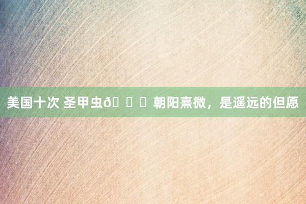 美国十次 圣甲虫?朝阳熹微,是遥远的但愿