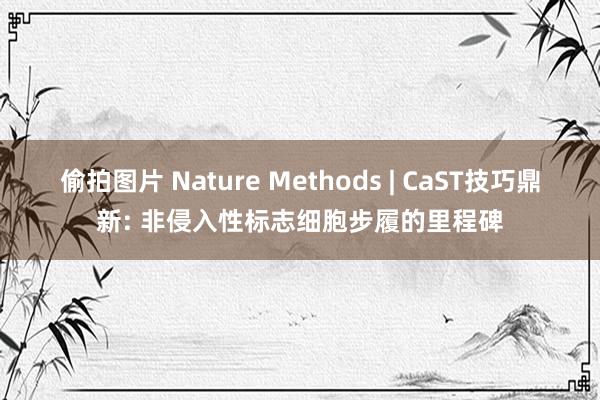偷拍图片 Nature Methods | CaST技巧鼎新: 非侵入性标志细胞步履的里程碑