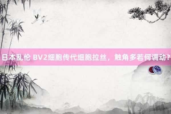 日本乱伦 BV2细胞传代细胞拉丝，触角多若何调动？