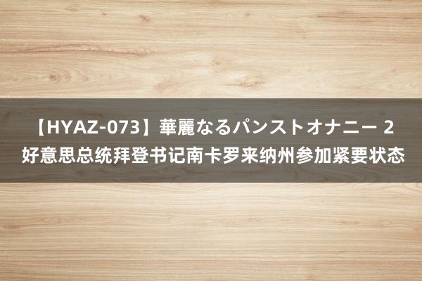 【HYAZ-073】華麗なるパンストオナニー 2 好意思总统拜登书记南卡罗来纳州参加紧要状态