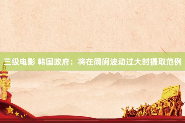 三级电影 韩国政府：将在阛阓波动过大时摄取范例