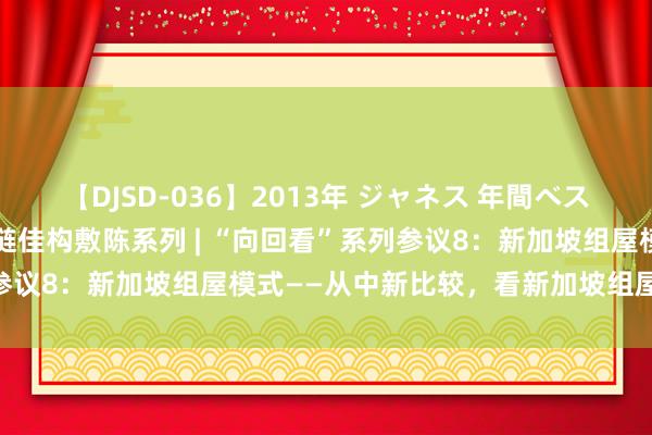 【DJSD-036】2013年 ジャネス 年間ベスト10 海通大批商品产业链佳构敷陈系列 | “向回看”系列参议8：新加坡组屋模式——从中新比较，看新加坡组屋轨制特色