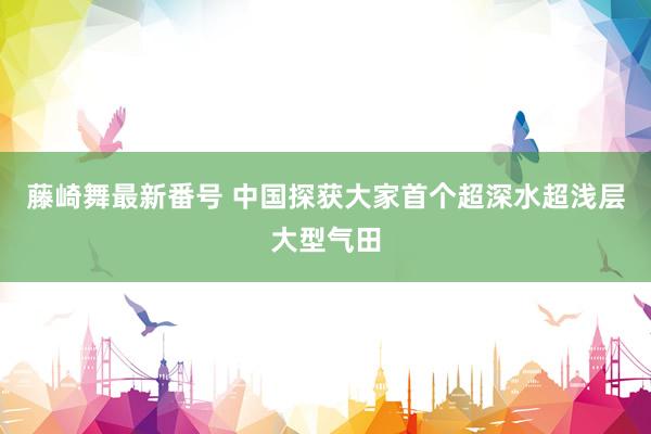 藤崎舞最新番号 中国探获大家首个超深水超浅层大型气田