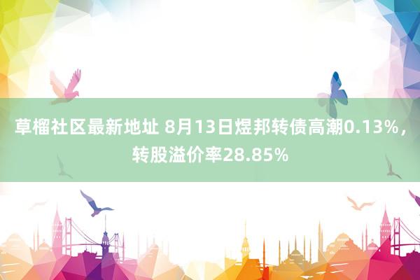 草榴社区最新地址 8月13日煜邦转债高潮0.13%，转股溢价率28.85%