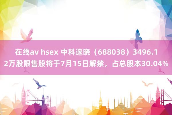 在线av hsex 中科邃晓（688038）3496.12万股限售股将于7月15日解禁，占总股本30.04%