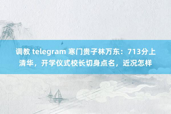 调教 telegram 寒门贵子林万东：713分上清华，开学仪式校长切身点名，近况怎样