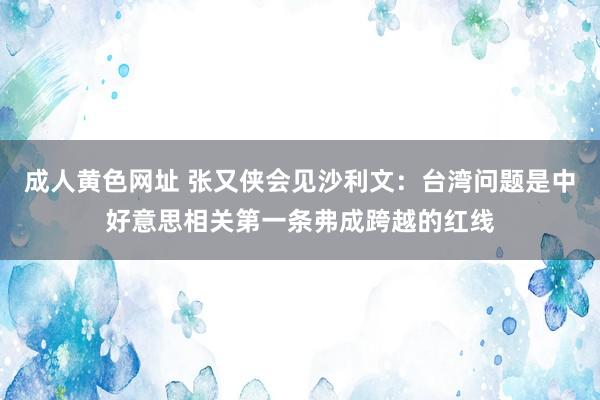 成人黄色网址 张又侠会见沙利文：台湾问题是中好意思相关第一条弗成跨越的红线