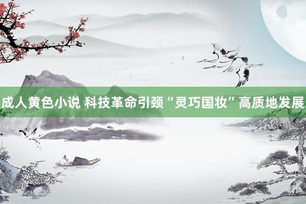 成人黄色小说 科技革命引颈“灵巧国妆”高质地发展