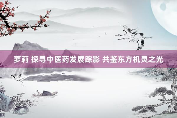萝莉 探寻中医药发展踪影 共鉴东方机灵之光