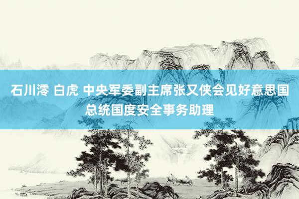 石川澪 白虎 中央军委副主席张又侠会见好意思国总统国度安全事务助理