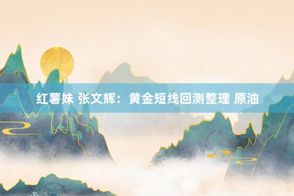 红薯妹 张文辉：黄金短线回测整理 原油