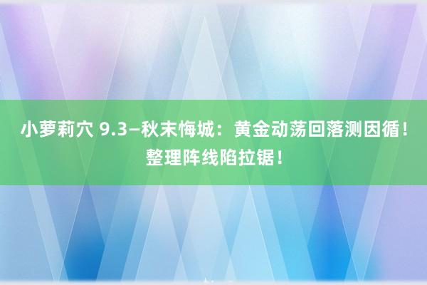 小萝莉穴 9.3—秋末悔城：黄金动荡回落测因循！整理阵线陷拉锯！