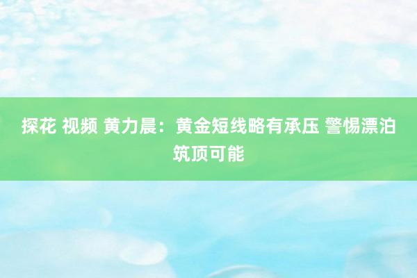 探花 视频 黄力晨：黄金短线略有承压 警惕漂泊筑顶可能