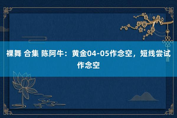 裸舞 合集 陈阿牛：黄金04-05作念空，短线尝试作念空