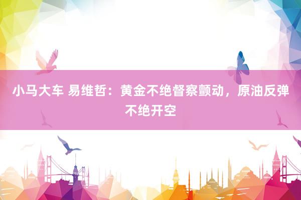 小马大车 易维哲：黄金不绝督察颤动，原油反弹不绝开空