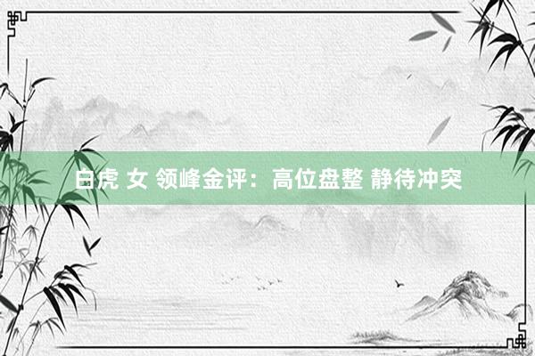 白虎 女 领峰金评：高位盘整 静待冲突