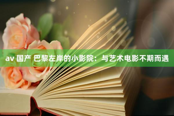 av 国产 巴黎左岸的小影院：与艺术电影不期而遇