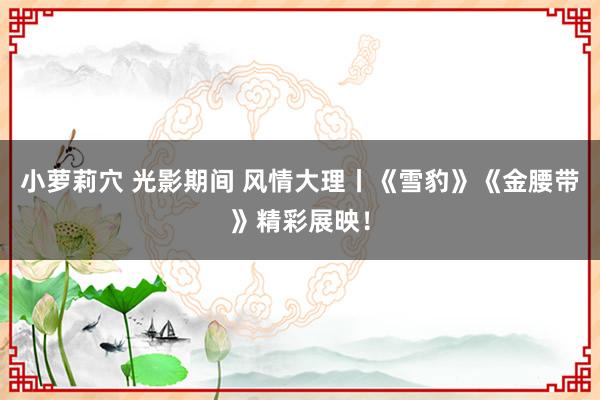 小萝莉穴 光影期间 风情大理丨《雪豹》《金腰带》精彩展映！