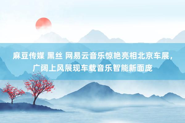 麻豆传媒 黑丝 网易云音乐惊艳亮相北京车展，广阔上风展现车载音乐智能新面庞