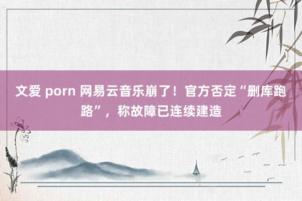 文爱 porn 网易云音乐崩了！官方否定“删库跑路”，称故障已连续建造