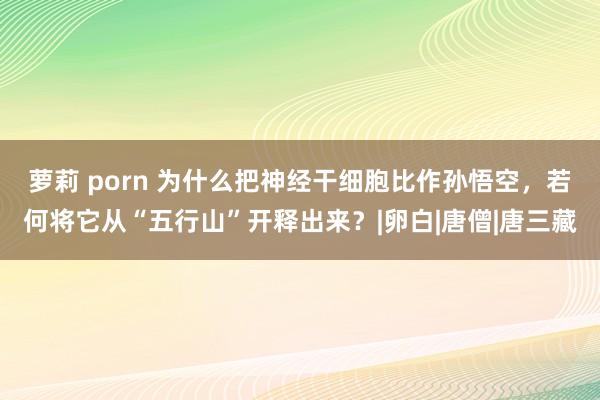 萝莉 porn 为什么把神经干细胞比作孙悟空，若何将它从“五行山”开释出来？|卵白|唐僧|唐三藏