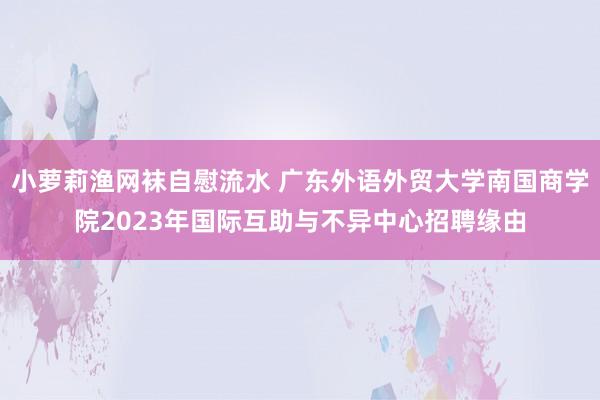 小萝莉渔网袜自慰流水 广东外语外贸大学南国商学院2023年国际互助与不异中心招聘缘由