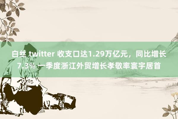 白丝 twitter 收支口达1.29万亿元，同比增长7.3% 一季度浙江外贸增长孝敬率寰宇居首