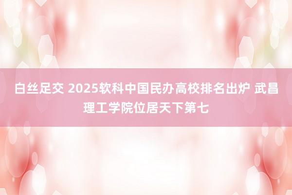 白丝足交 2025软科中国民办高校排名出炉 武昌理工学院位居天下第七