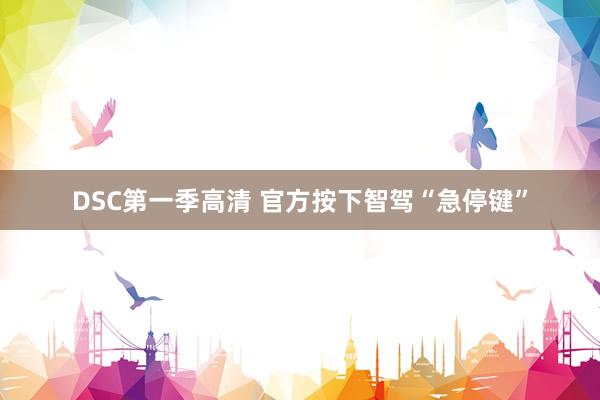 DSC第一季高清 官方按下智驾“急停键”