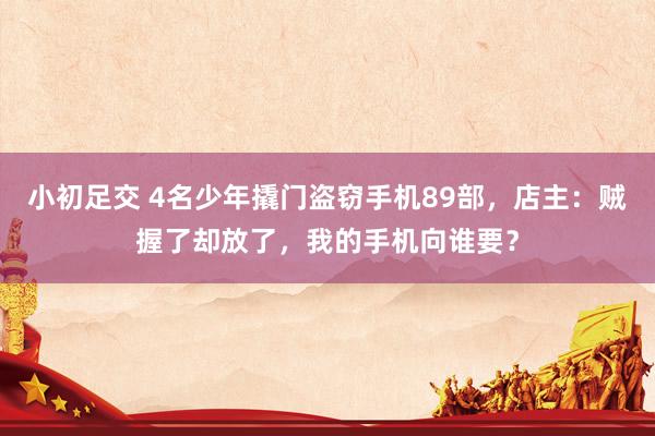 小初足交 4名少年撬门盗窃手机89部，店主：贼握了却放了，我的手机向谁要？