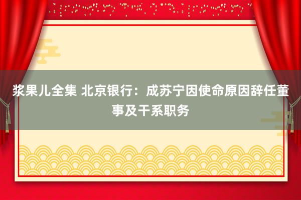 浆果儿全集 北京银行：成苏宁因使命原因辞任董事及干系职务