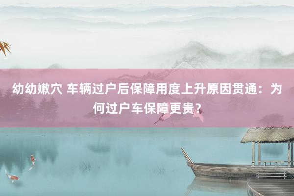 幼幼嫩穴 车辆过户后保障用度上升原因贯通：为何过户车保障更贵？
