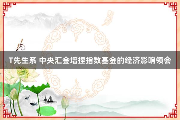 T先生系 中央汇金增捏指数基金的经济影响领会