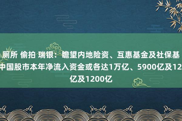 厕所 偷拍 瑞银：瞻望内地险资、互惠基金及社保基金对中国股市本年净流入资金或各达1万亿、5900亿及1200亿