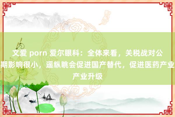 文爱 porn 爱尔眼科：全体来看，关税战对公司短期影响很小，遥纵眺会促进国产替代，促进医药产业升级