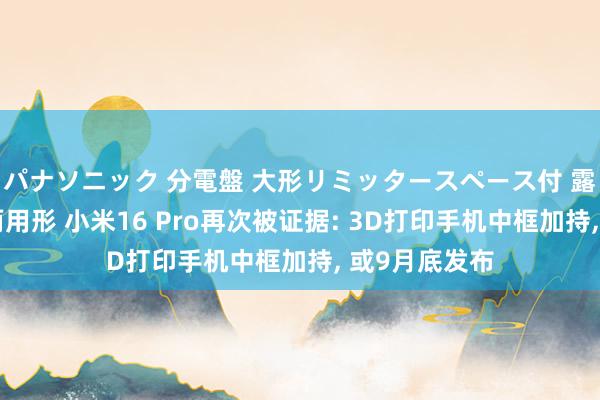 パナソニック 分電盤 大形リミッタースペース付 露出・半埋込両用形 小米16 Pro再次被证据: 3D打印手机中框加持, 或9月底发布