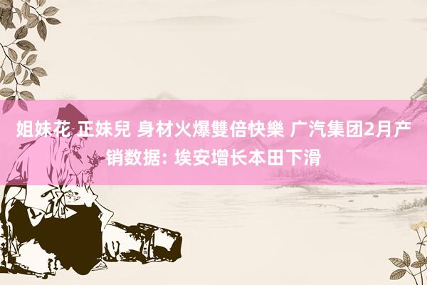 姐妹花 正妹兒 身材火爆雙倍快樂 广汽集团2月产销数据: 埃安增长本田下滑