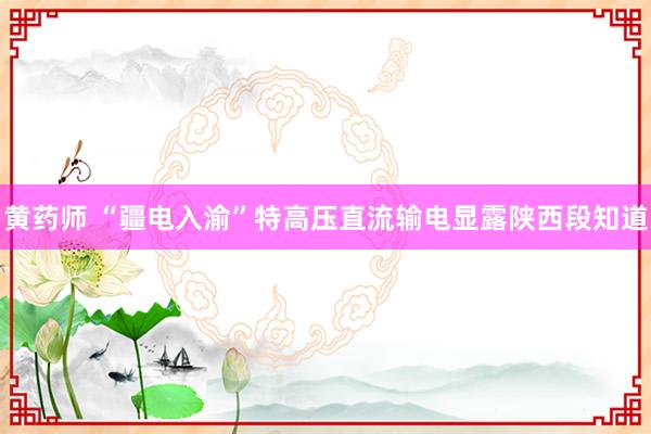 黄药师 “疆电入渝”特高压直流输电显露陕西段知道