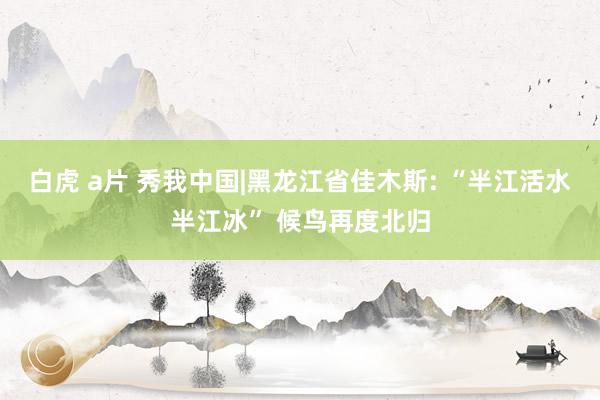 白虎 a片 秀我中国|黑龙江省佳木斯: “半江活水半江冰” 候鸟再度北归