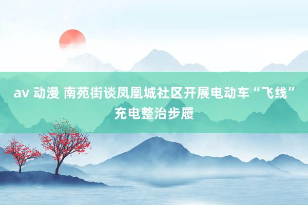 av 动漫 南苑街谈凤凰城社区开展电动车“飞线”充电整治步履