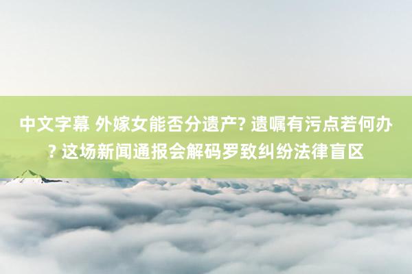 中文字幕 外嫁女能否分遗产? 遗嘱有污点若何办? 这场新闻通报会解码罗致纠纷法律盲区