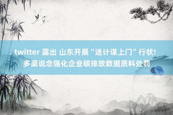 twitter 露出 山东开展“送计谋上门”行状! 多渠说念强化企业碳排放数据质料处罚